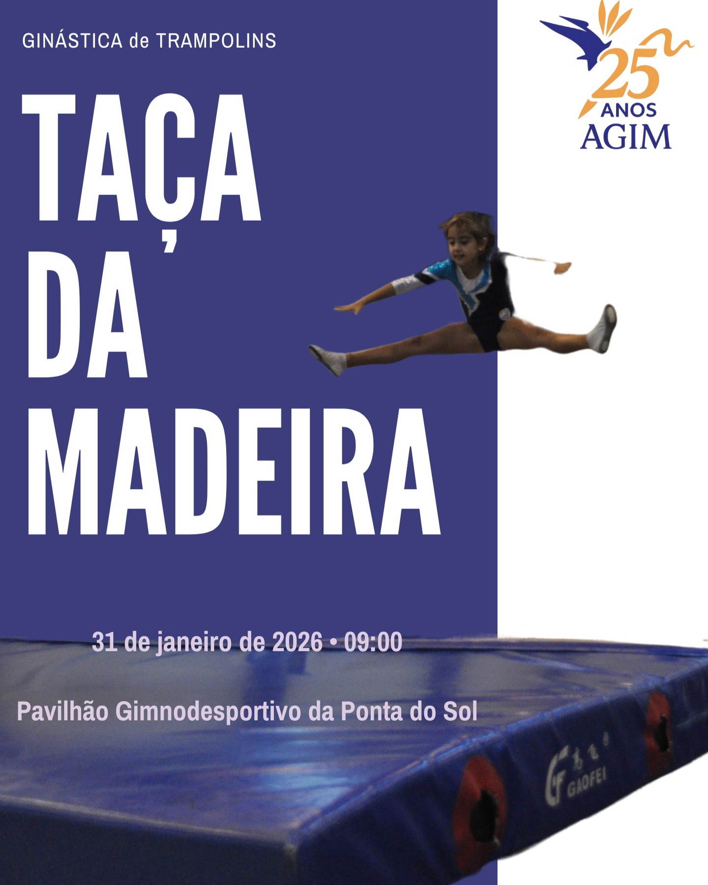Taça da Madeira Ginástica de TRA