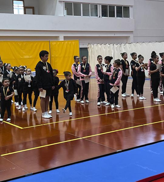 Campeonato Regional de Benjamins, Infantis, Base e 1.ª Divisão de Ginástica Aeróbica