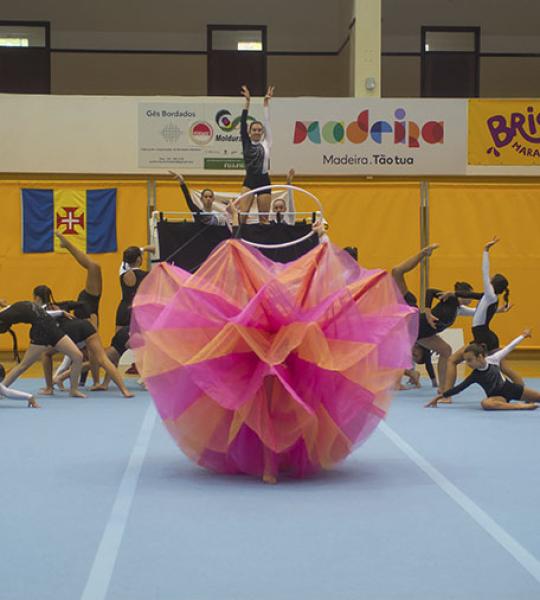 Sarau de Verão / Gymnastics Stars 2024